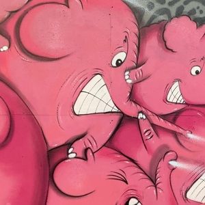 Meet your Posher, Cecilia